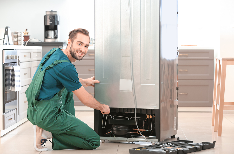 Male technician repairing refrigerator indoors